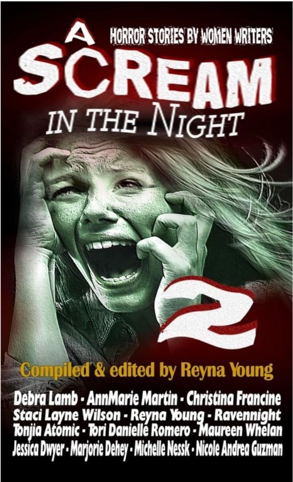 A Scream in the Night 2 Book